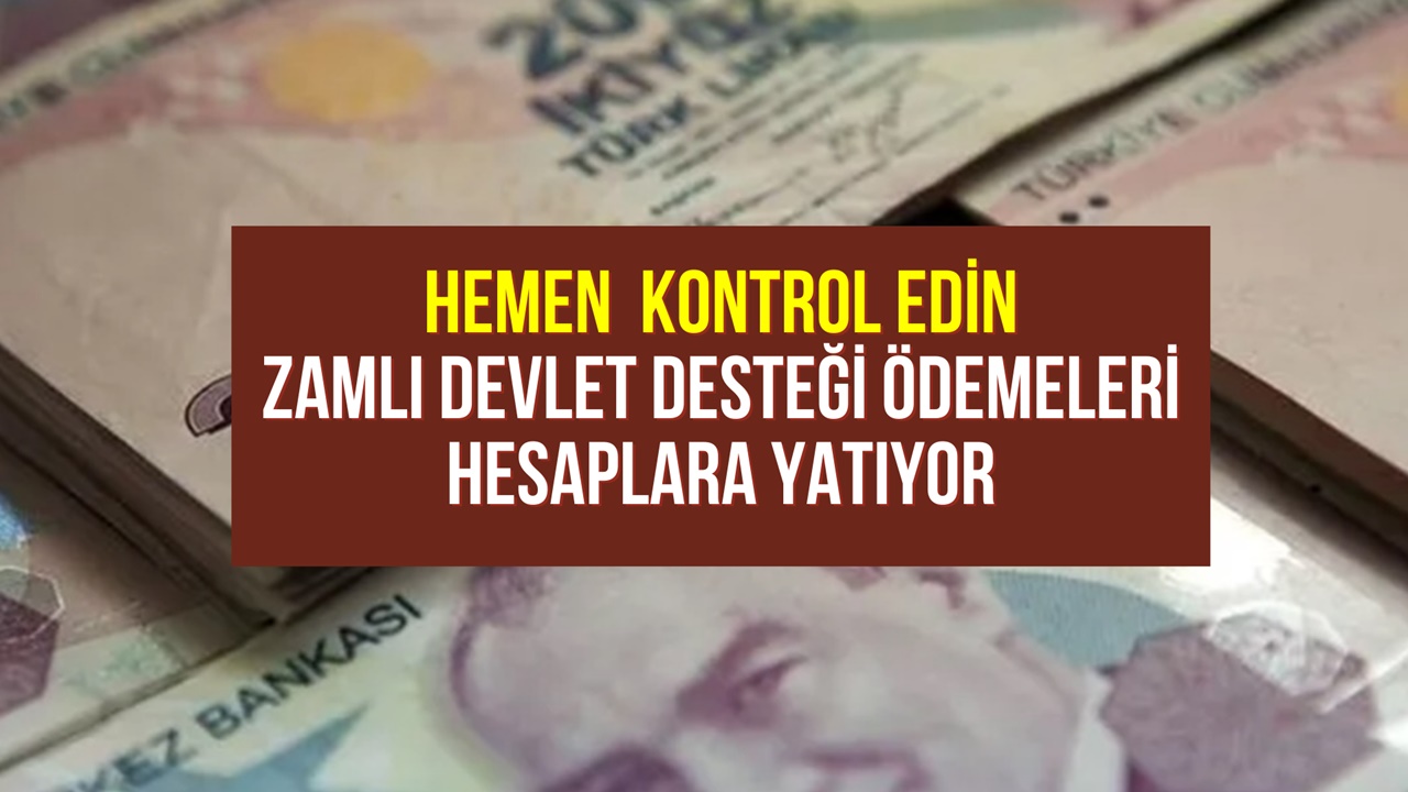 Hemen Kontrol Edin! 7.608 TL Devlet Desteği IBAN ve PTT’den Yatmaya Başladı