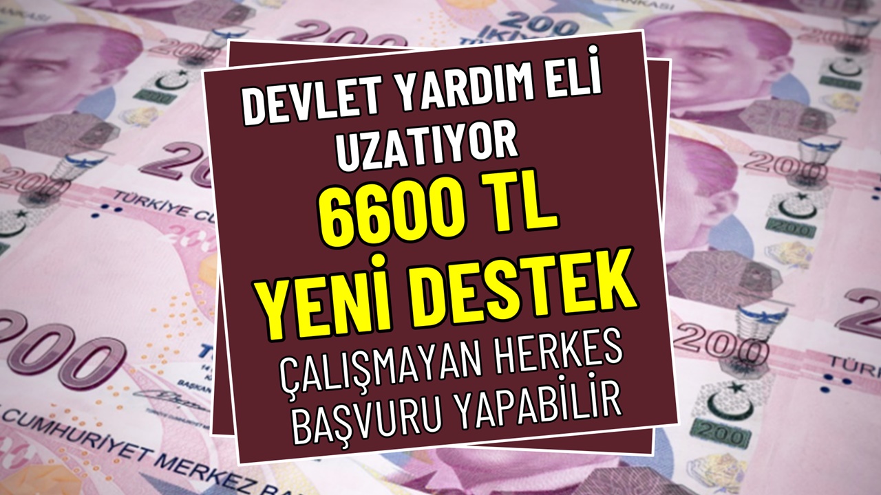 Devlet Hane Başı 6600 TL Destek Ödemesi Başlattı! Şubat’ta Ödenecek