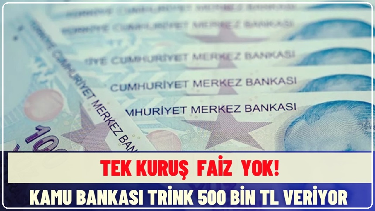 Kamu Bankası 500.000 TL'yi Şipşak Veriyor! TEK KURUŞ FAİZ YOK, 5 Yıl Vade ile Kredi Fırsatı
