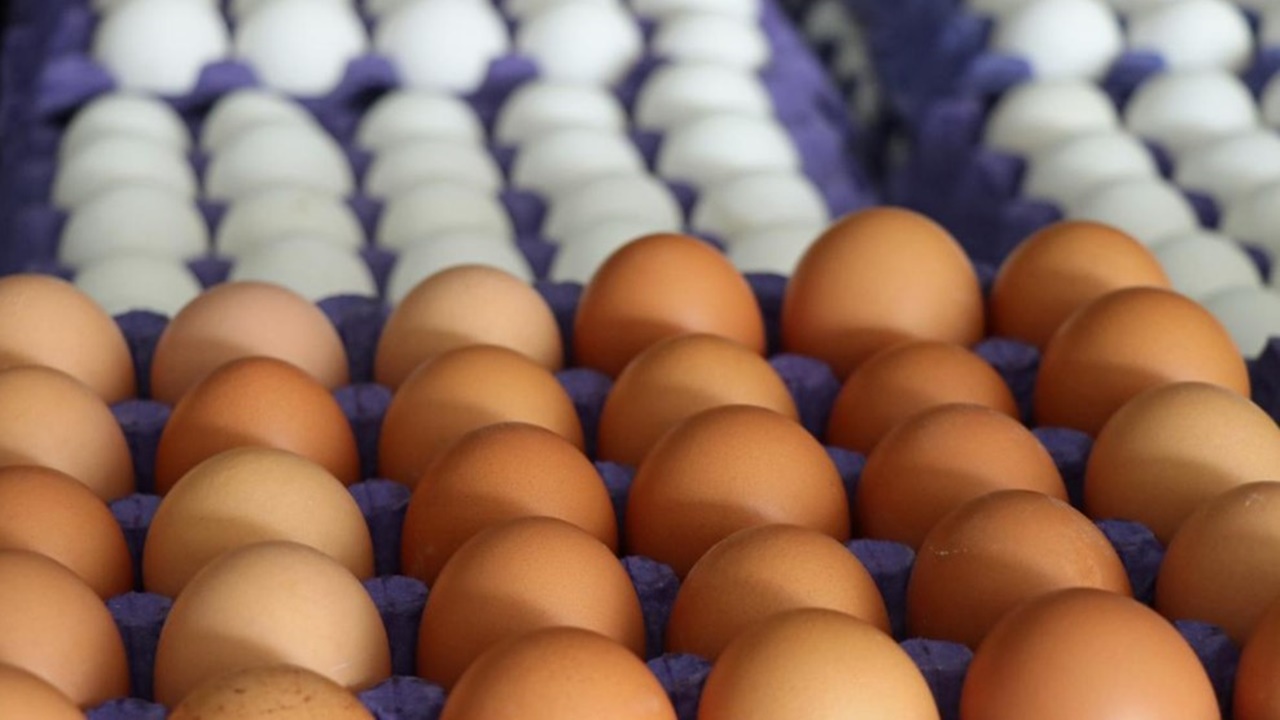 ŞOK, Migros ve Carrefour'da dev yumurta indirimi! 30'lu koli fiyatını gören koli koli alıyor