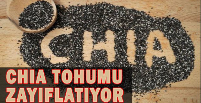 Chia tohumu nedir ? Faydaları ve Yan etkileri