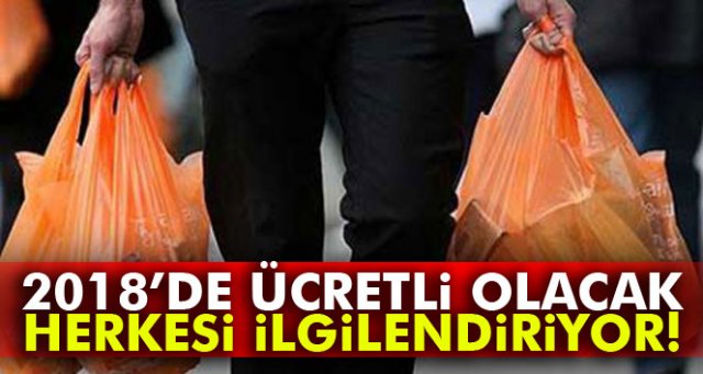 Naylon poşet kullanımı yıl başında ücretli olacak