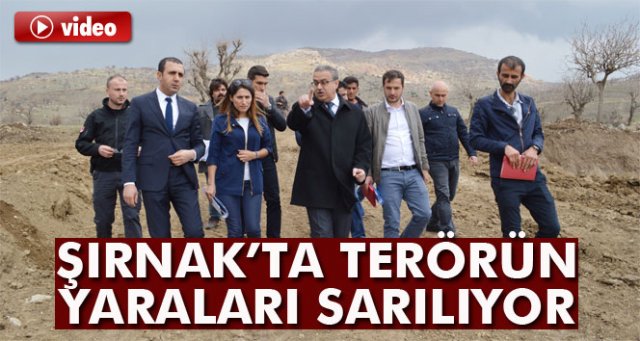 Şırnak’ta terörün yaraları sarılıyor