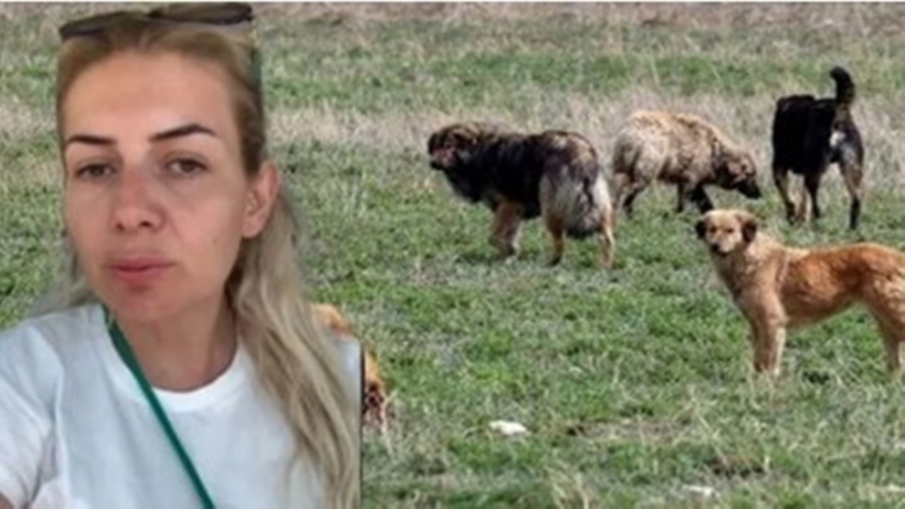 Kuduz köpekleri Ankara’ya getiren Buket Özgünlü hakkında karar verildi