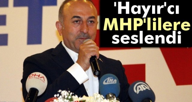 Bakan Çavuşoğlu 'Hayır'cı MHP'lilere seslendi