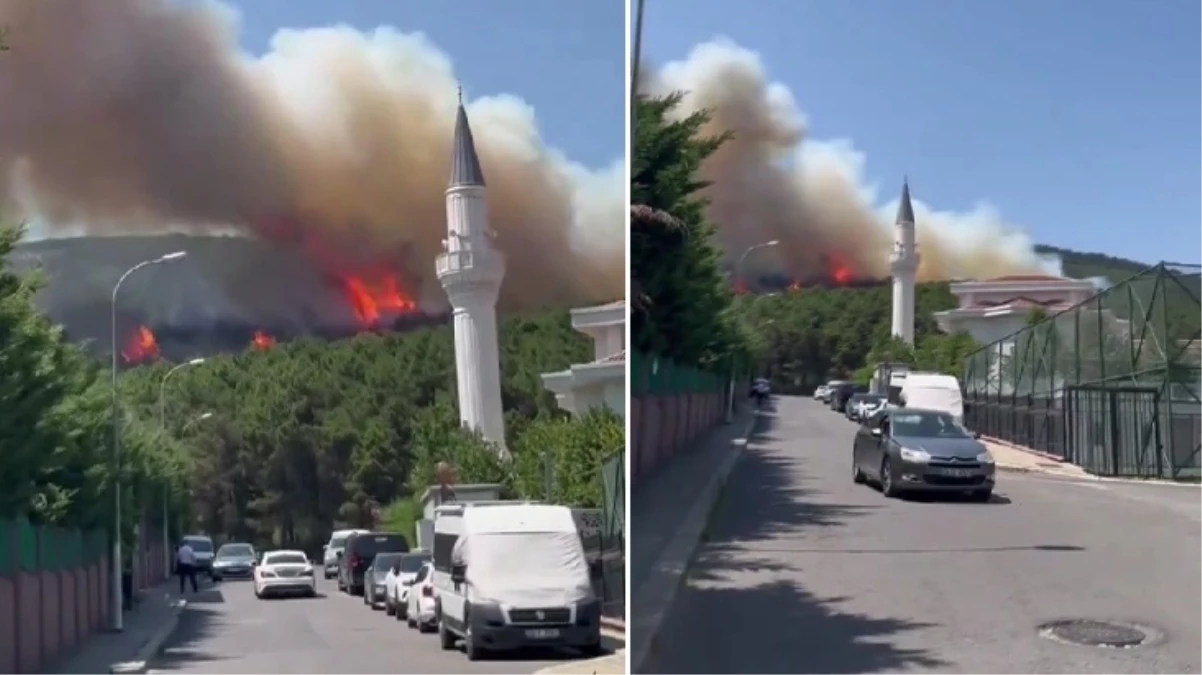 İstanbul Aydos Ormanı'nda yangın çıktı! Son Dakika yangın yerleşim yerine doğru ilerliyor
