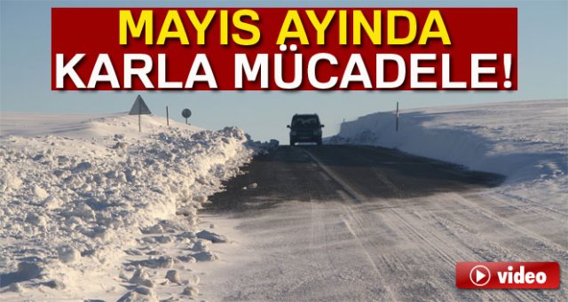 Ardahan'da 1 Mayıs'ta kar, kış