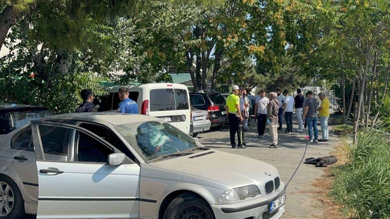 İstanbul’un ortasında uzun namlulu silahlı çatışma: 2 yaralı, 1 köpek hayatını kaybetti