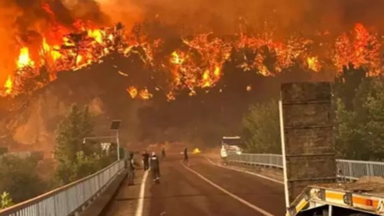 Türkiye genelinde 73 yangın çıktı! Tarım Bakanı'ndan önemli uyarı