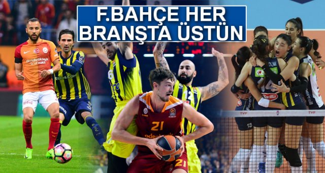 Fenerbahçe her branşta rakiplerinden üstün