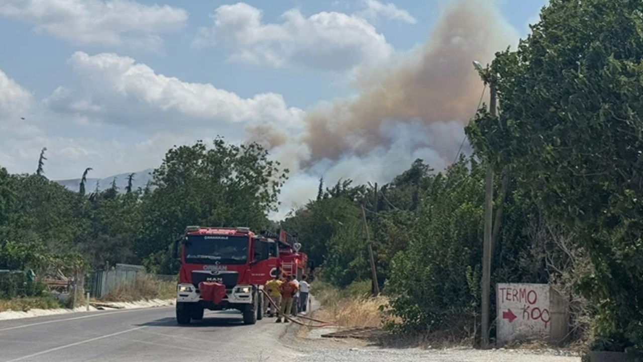 Çanakkale’de tarım arazisinde başlayan yangın ormana sıçradı