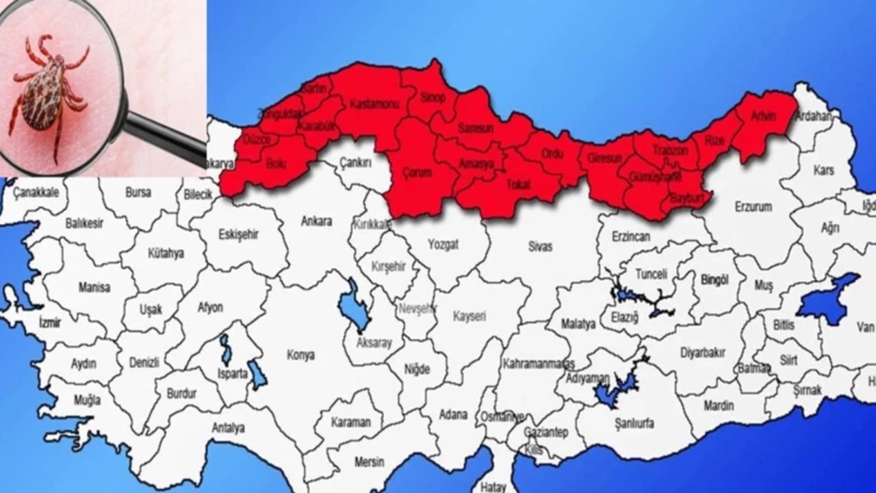 Rize, Trabzon, Ordu, Giresun ve Samsun dikkat! Tüm Karadeniz için salgın uyarısı yapıldı