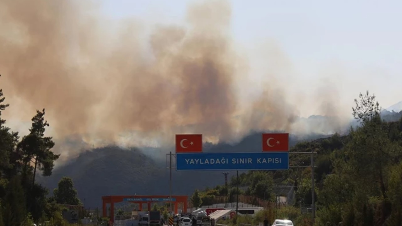 Suriye’deki orman yangını Hatay’a sıçradı