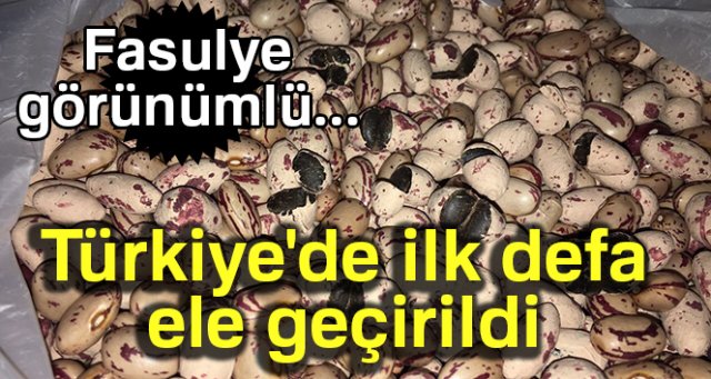 Türkiye'de ilk defa ele geçirildi