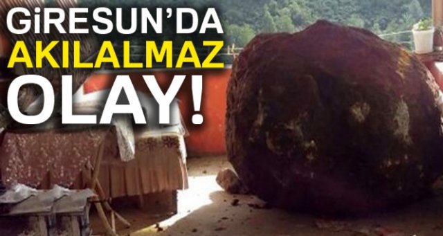 Giresun’da akılalmaz olay