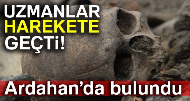 Ardahan’da kafatası ve insan kemikleri bulundu