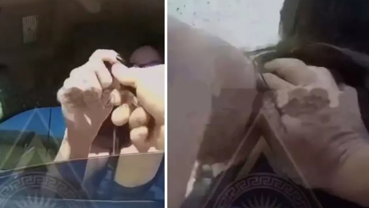 Polise Kalem Fırlatan Kadına Sert Müdahale