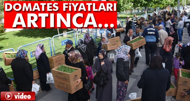 Vatandaşlar belediyenin dağıttığı domates fidelerine akın etti