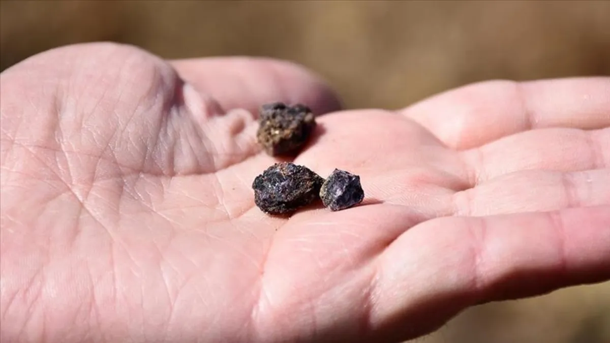 Türkiye'nin gizli gücü ortaya çıktı! Dünya şaşkına döndü