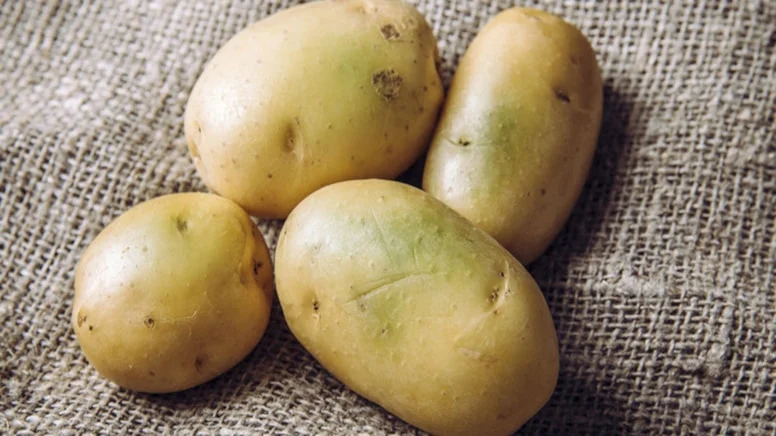 Yeşil patateste 'solanin' uyarısı: O leke vücutta birikiyor