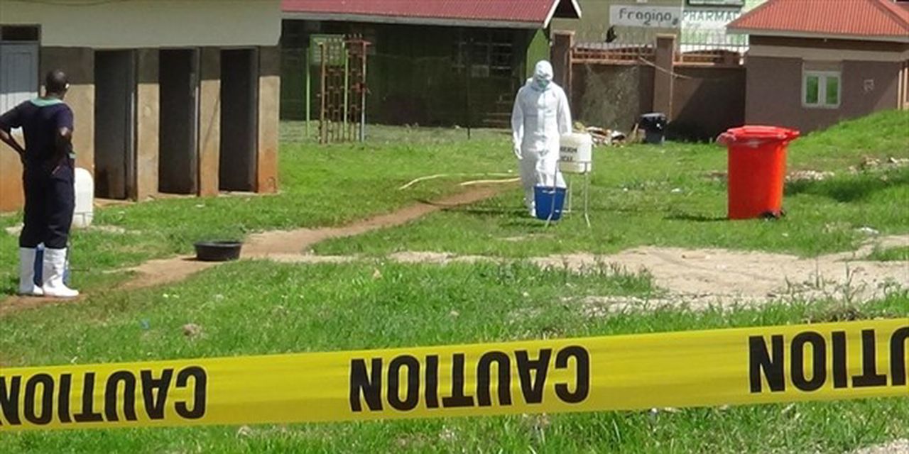 DSÖ dünyayı alarma geçirdi! Ebola salgını için küresel acil durum ilan edildi