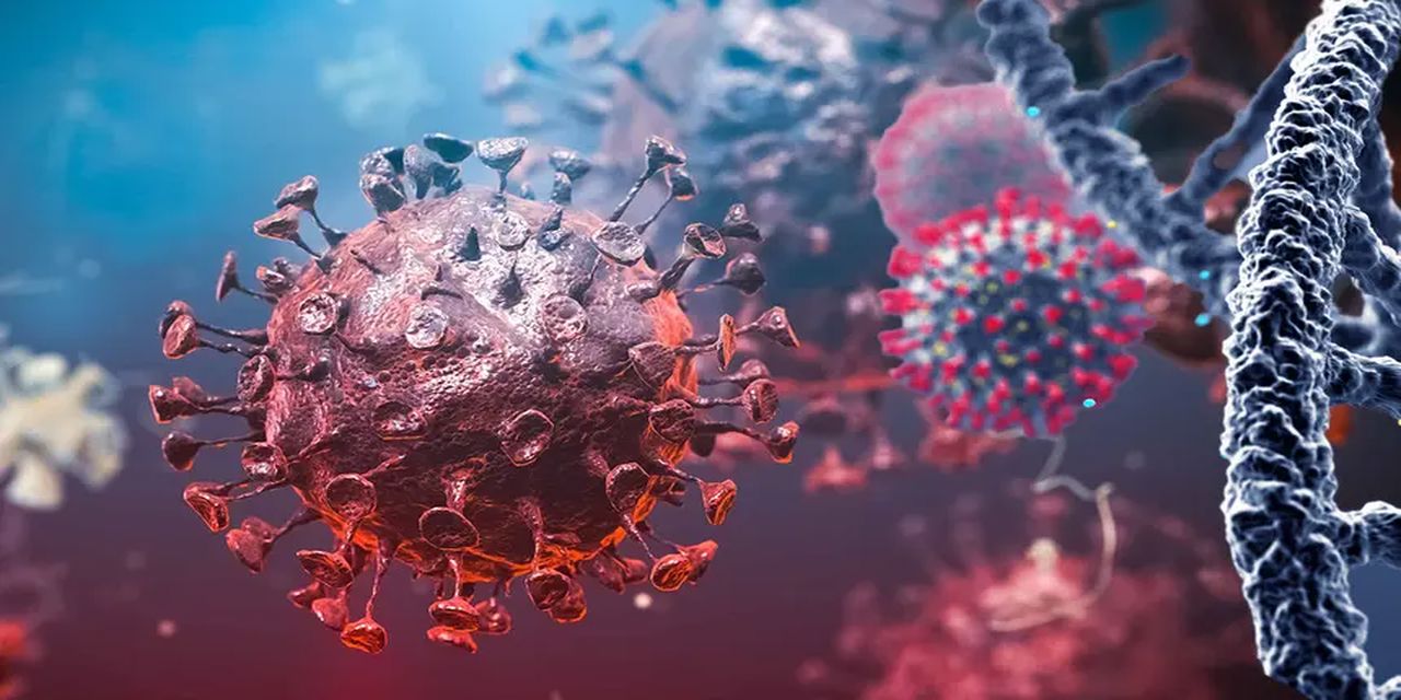 Bahreyn Ebola salgını sonrası 3 Afrika ülkesinden girişleri durdurdu