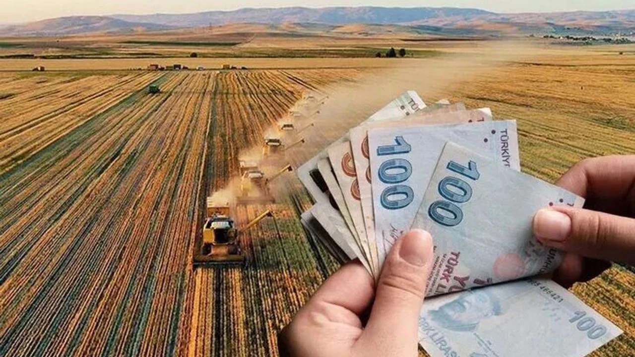 Tarım enflasyonunda temmuz tablosu belli oldu! Bir grupta yüzde 84 artış