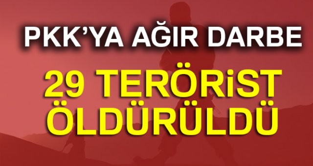 Ağrı'da 29 terörist öldürüldü