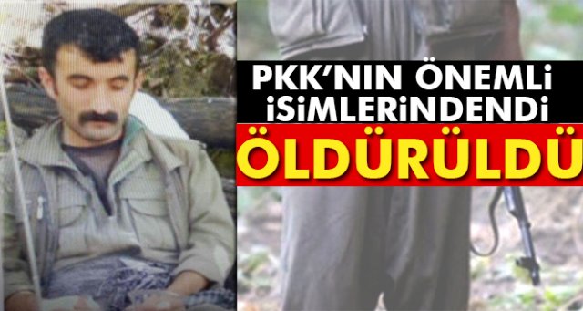 Tunceli'de PKK'nın sözde Özel Güç Sorumlusu öldürüldü