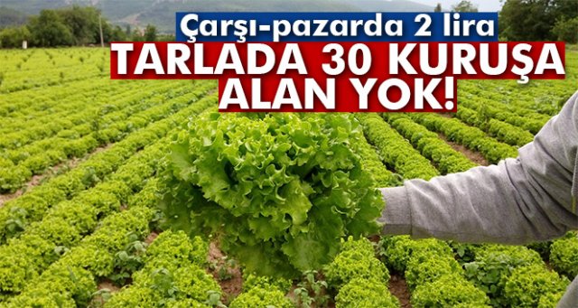 Çarşı-pazarda 2 lira, tarlada 30 kuruşa alan yok