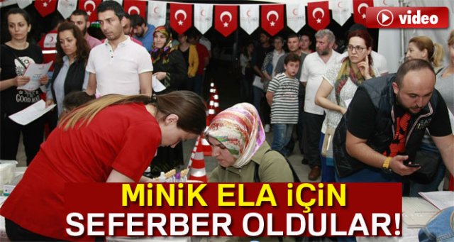 Lösemi hastası Ela için kök hücre seferberliği