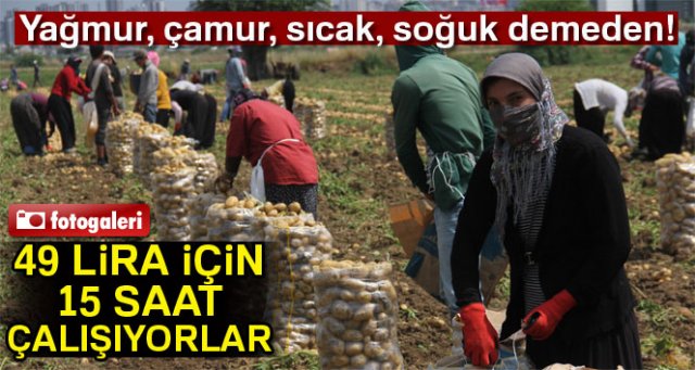 49 lira için 15 saat çalışıyorlar