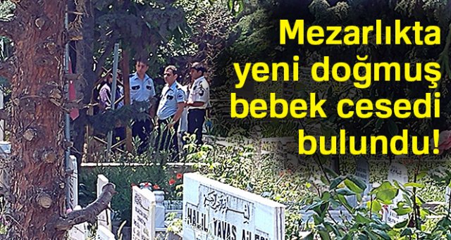 Kazılan yeri açan görevliler şoke oldu