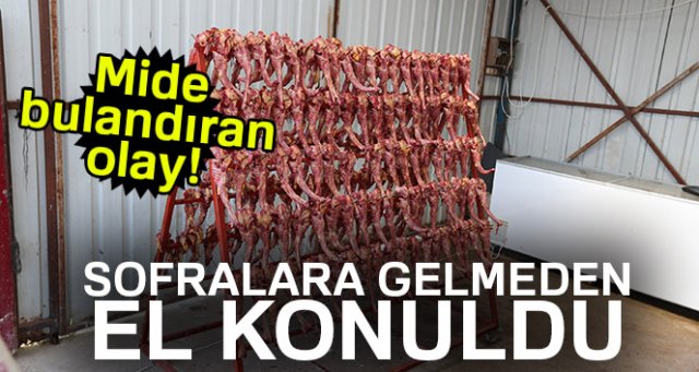 Sofralara gelmeden el konuldu! Mide bulandıran olay