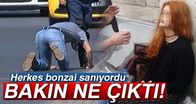 Bonzai değil ev yapımı zehir