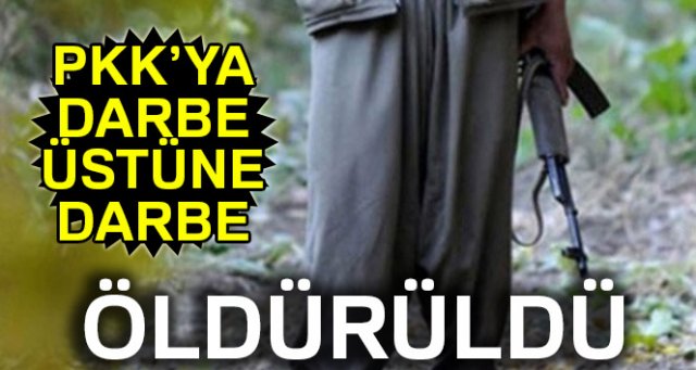 PKK'nın sözde Şenkaya sorumlusu öldürüldü