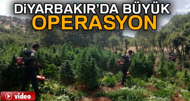 Diyarbakır kırsalında büyük operasyon sürüyor