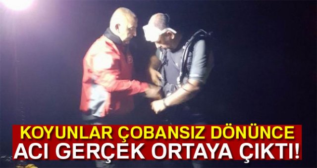 Koyunların çobansız dönmesi acı gerçeği ortaya çıkardı