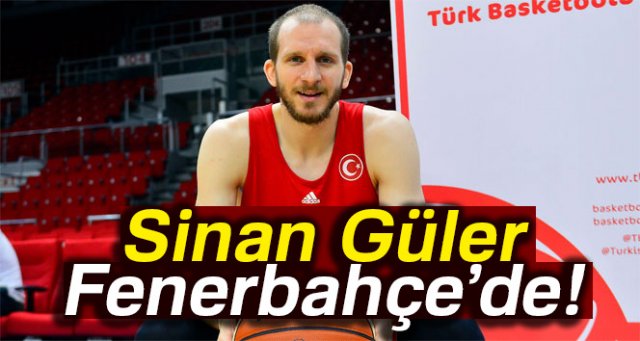 Sinan Güler, Fenerbahçe’de