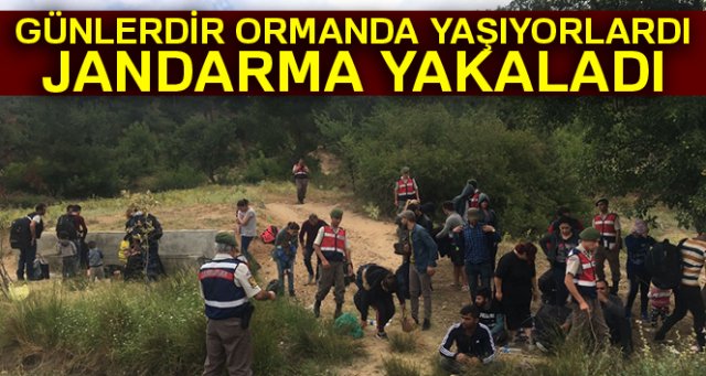 Günlerdir ormanda yaşıyorlardı! Yakalandılar