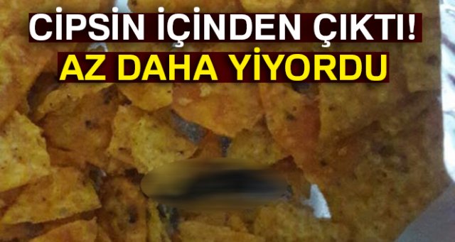 Cips poşeti içinden vida çıktı