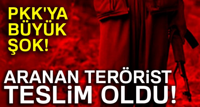 PKK'ya büyük şok! Aranan terörist teslim oldu