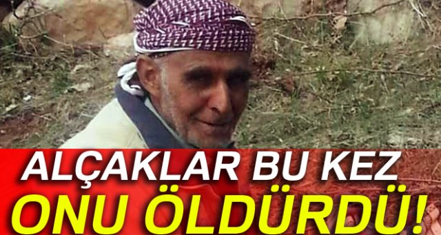 Teröristler kaçırdıkları çobanı öldürdü