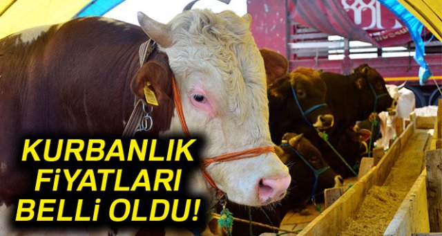 Kurbanlık fiyatları belirlendi