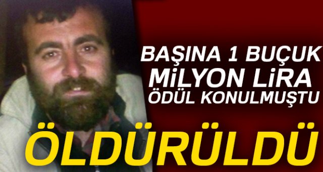 Başına 1 milyon 500 binlira ödül konulan terörist öldürüldü