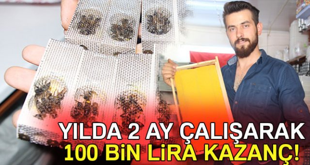 2 ay çalışarak yılda 100 bin lira kazanmak mümkün