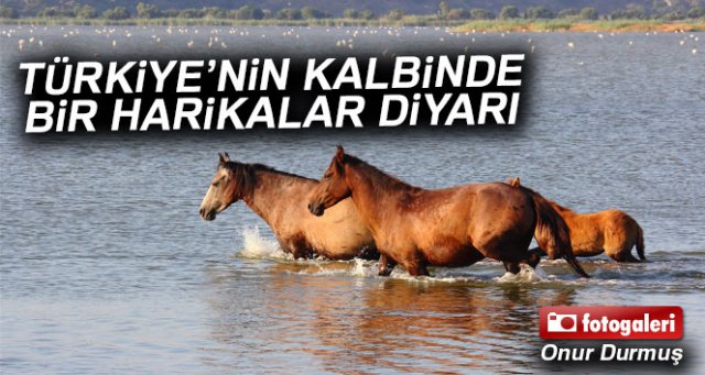 Türkiye’nin kalbinde bir harikalar diyarı