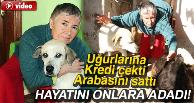 Kredi çekti, arabasını satıp hayatını köpeklere adadı