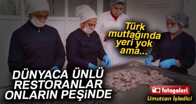 Adana’dan dünyaca ünlü restoranlara kurbağa bacağı