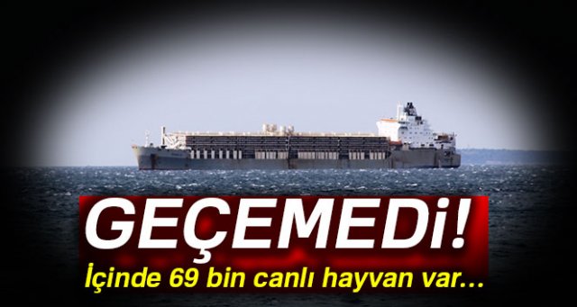 69 bin hayvan yüklü gemi Çanakkale Boğazı'nda demirledi